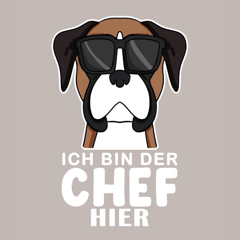 Hund Deutscher Boxer Cool Chef