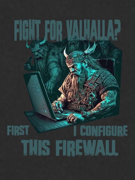 Firewall first Wikinger programmierer
