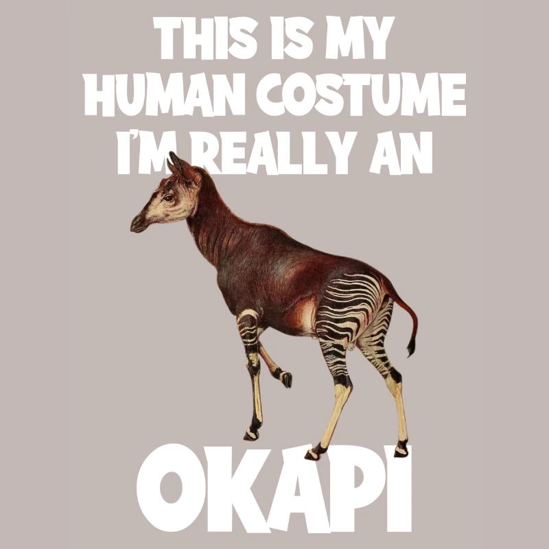 Expédition au zoo d'Okapi