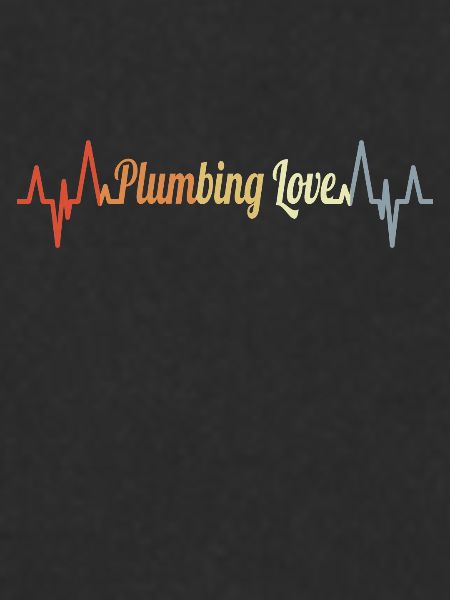 Plumber Palpitations ECG