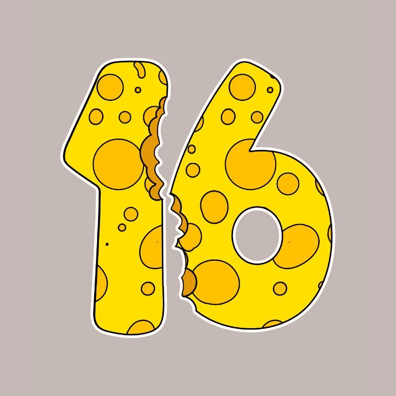 16 Year Old Funny Cheese
