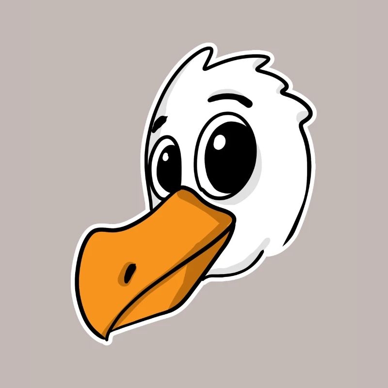 Möwe Vogel Nordsee