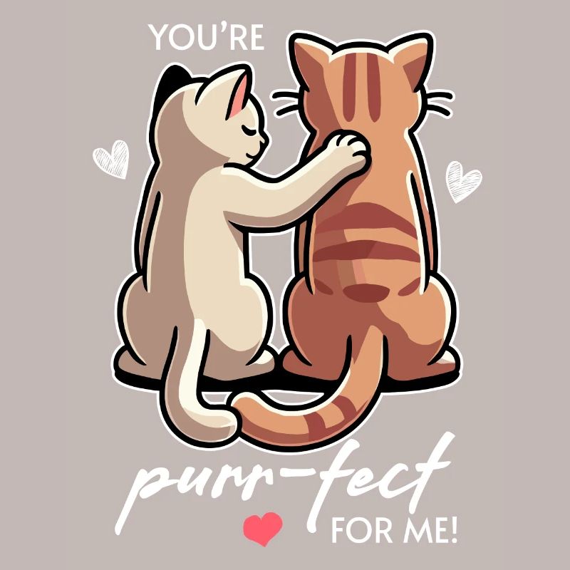 Vous ronronnez pour moi, chats mignons pour la Saint-Valentin