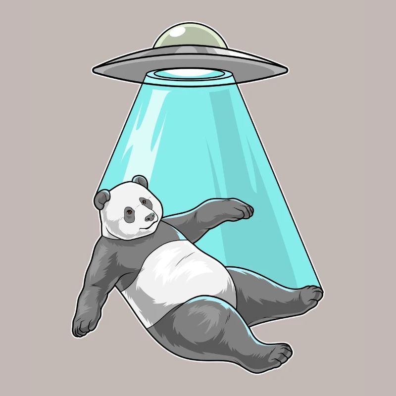 Panda Raumschiff