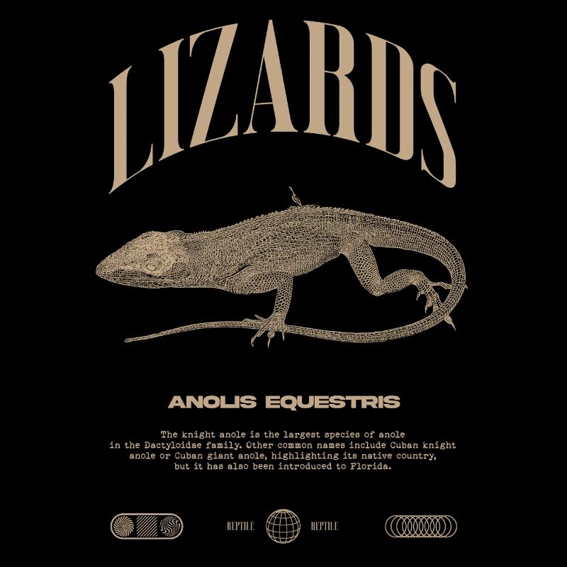 Cuban Knight Anole Reptile Keeper Lizard