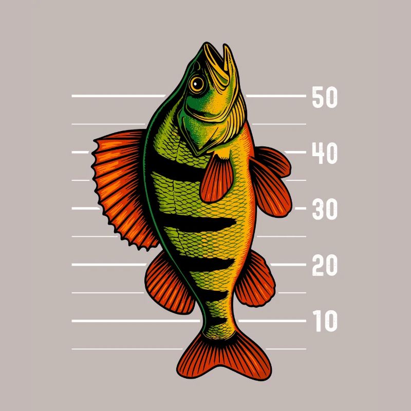 Barsch Flussbarsch Barsche Barsch Köder