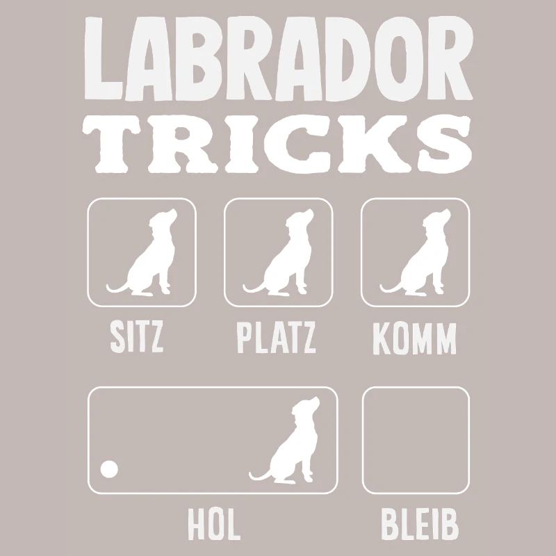 Astuces du Labrador