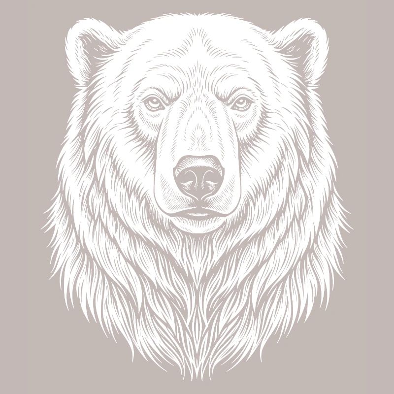 Bear Line Drawing