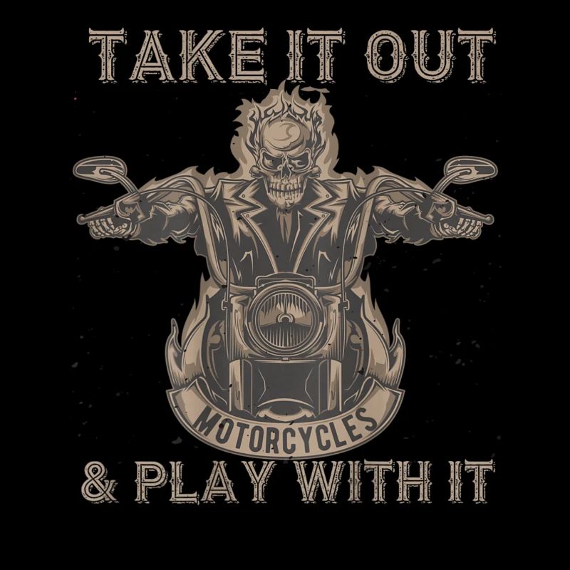 Take It Out Motorcycles Skull