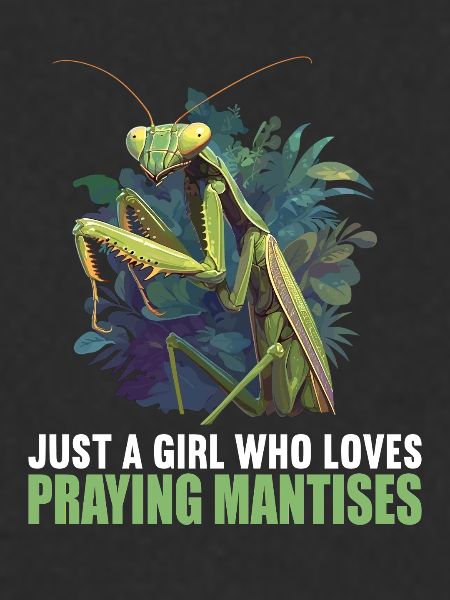 Praying mantises Praying mantis