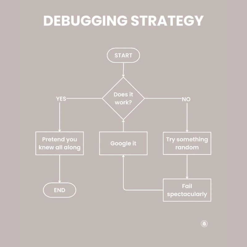 Debugging Strategy Flowchart - Does It Work Gift
