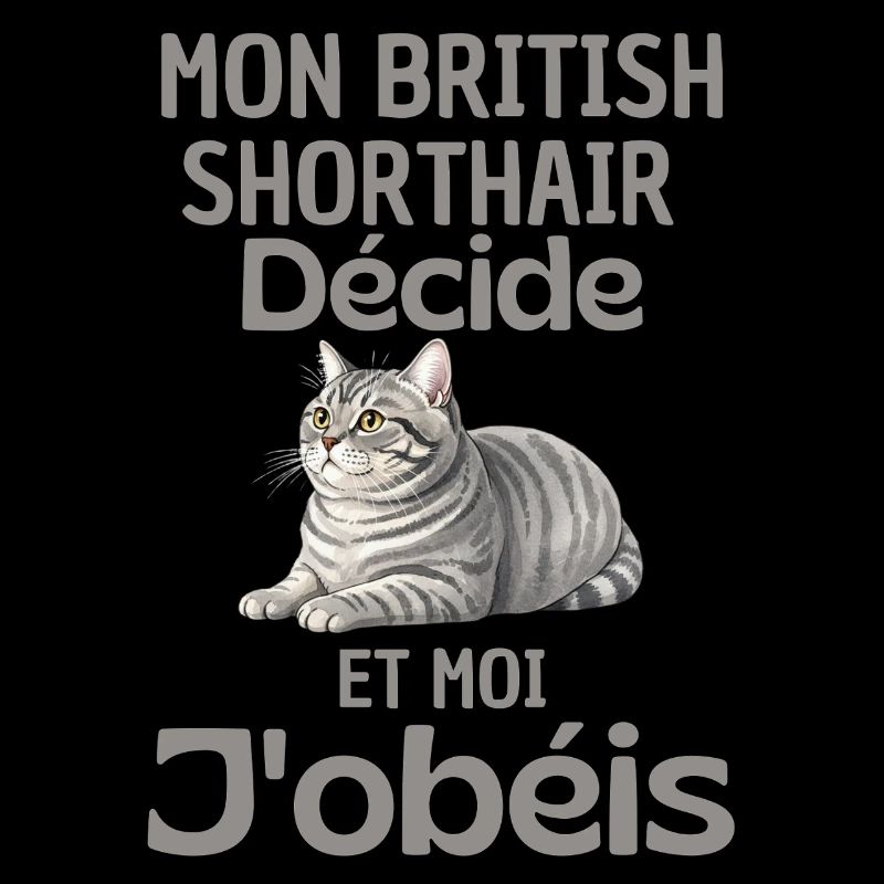 Mon British Shorthair Décide, J’obéis
