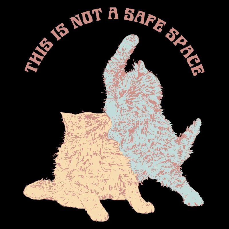 THIS IS NOT A SAFE SPACE