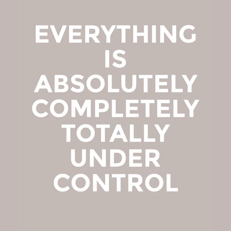 Everything Is Under Control – Funny Saying