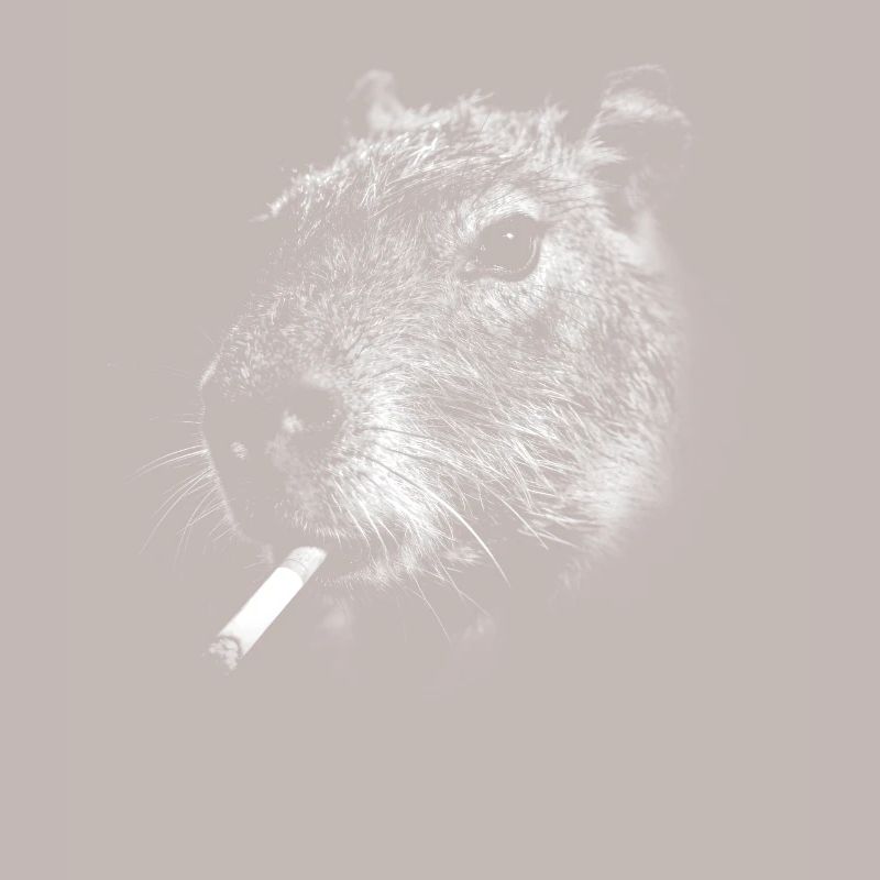 Smoking, cigarette, capybara smoking a cigarette