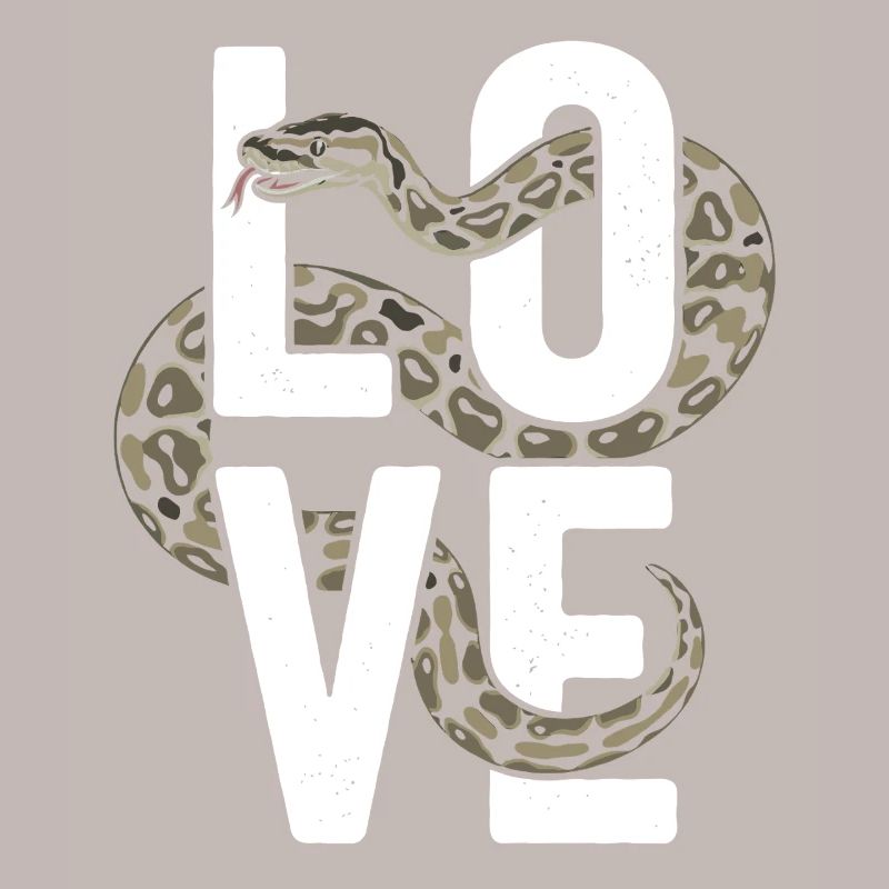 Les serpents rois Python ADORENT les pythons de terrarium