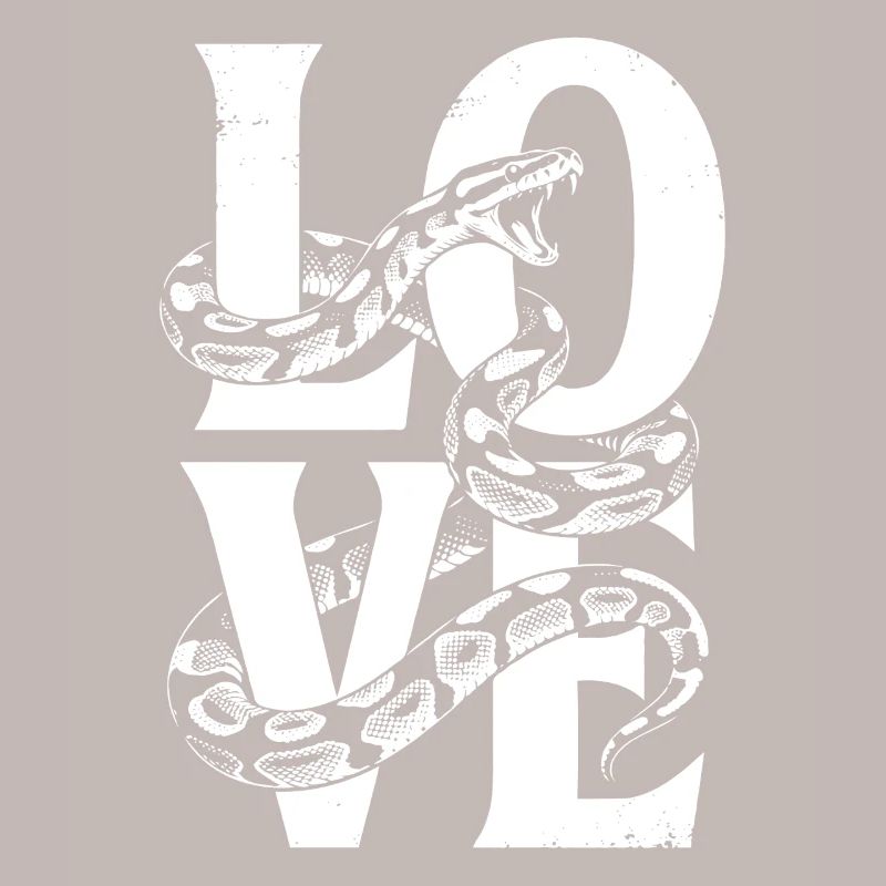 Les serpents rois Python ADORENT les pythons de terrarium