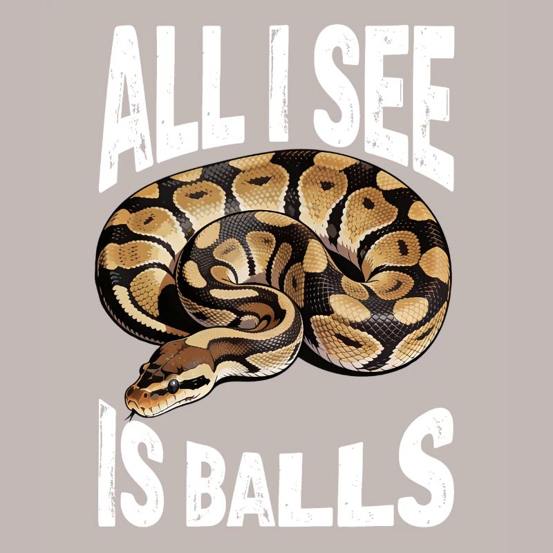 Python roi Serpents Amateurs de terrarium Python