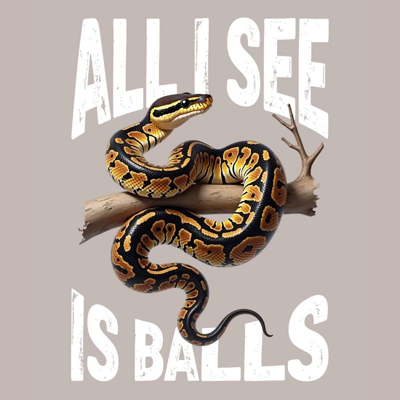 Python roi Serpents Amateurs de terrarium Python