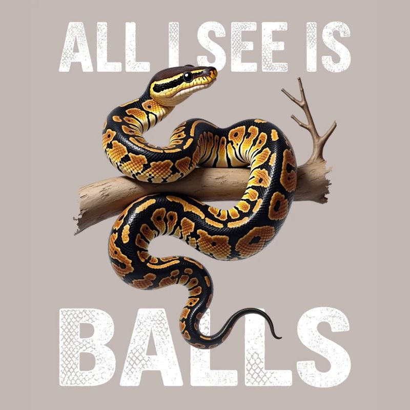 Python roi Serpents Amateurs de terrarium Python