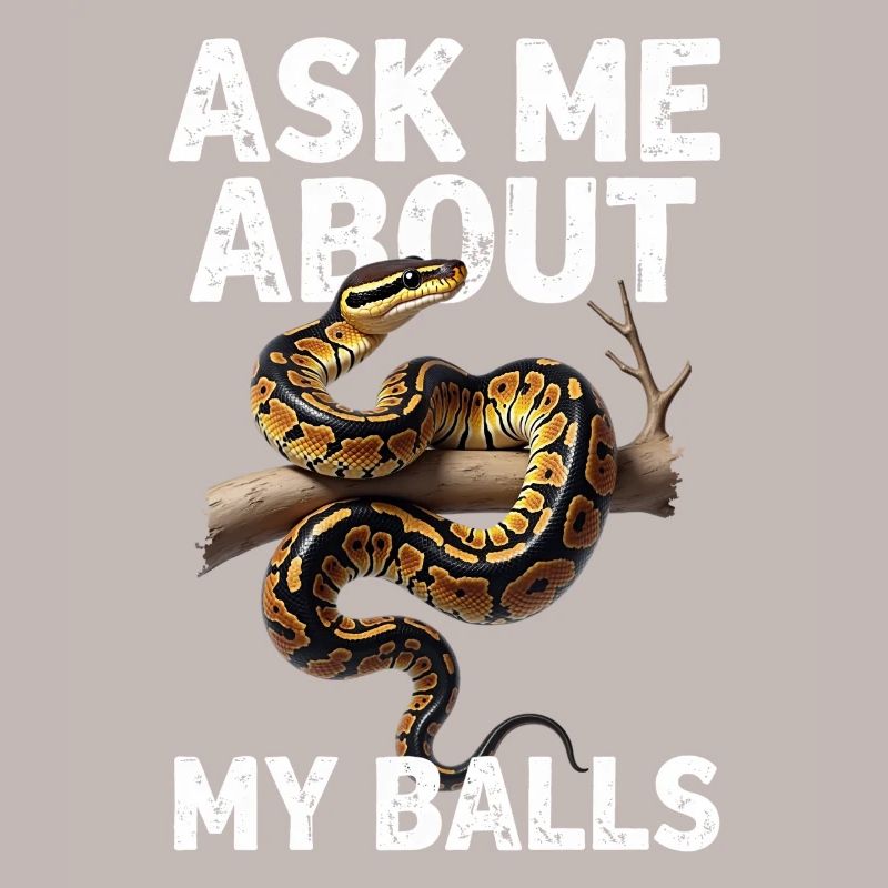 Python roi Serpents Amateurs de terrarium Python