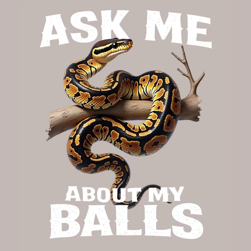 Python roi Serpents Amateurs de terrarium Python