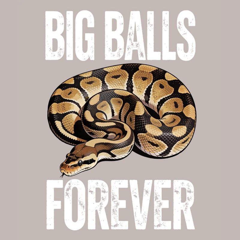 Python roi Serpents Amateurs de terrarium Python