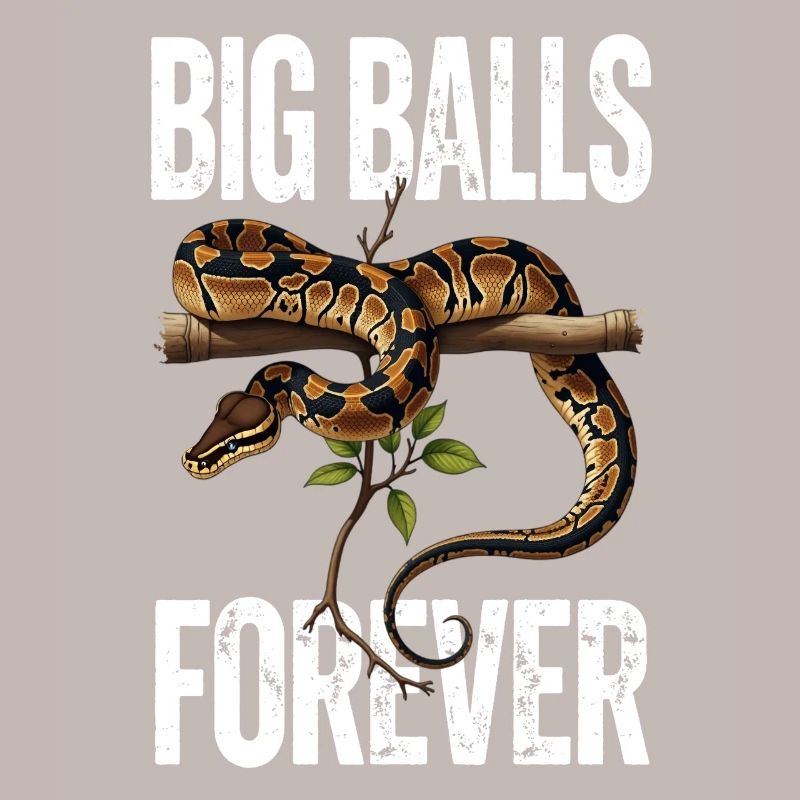 King Python Snakes Lover Terrarium Python