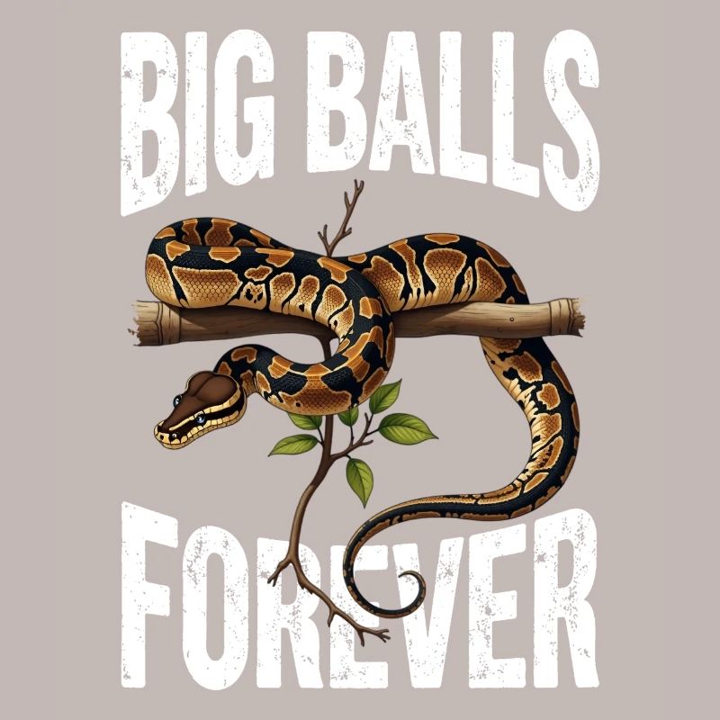 Königspython Schlangen Liebhaber Terrarium Python