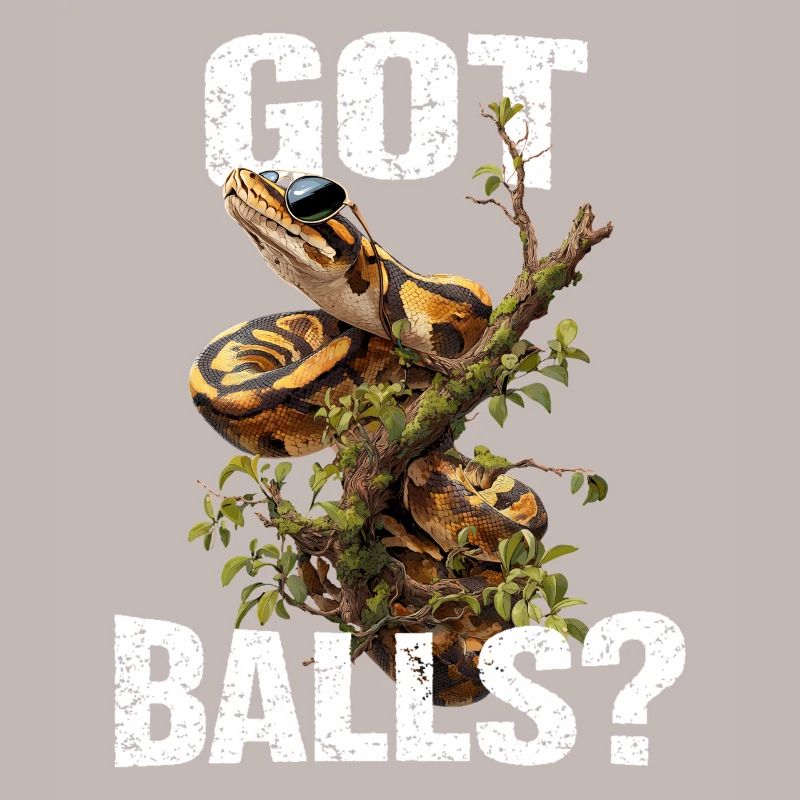 Königspython Schlangen Liebhaber Terrarium Python