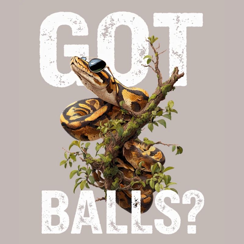 Königspython Schlangen Liebhaber Terrarium Python