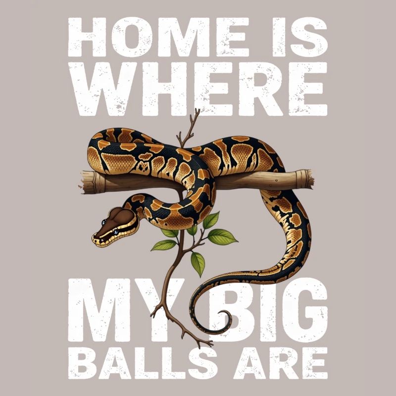 Python roi Serpents Amateurs de terrarium Python