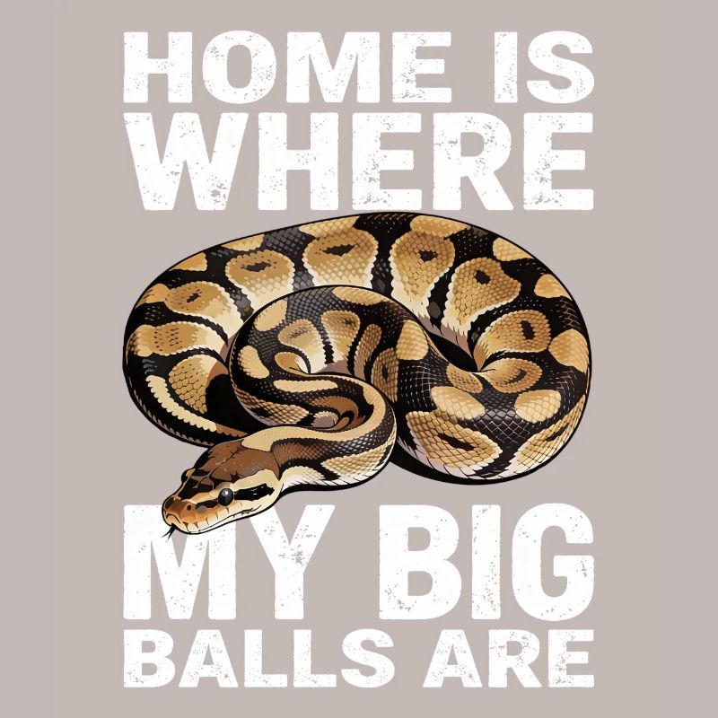 Königspython Schlangen Liebhaber Terrarium Python