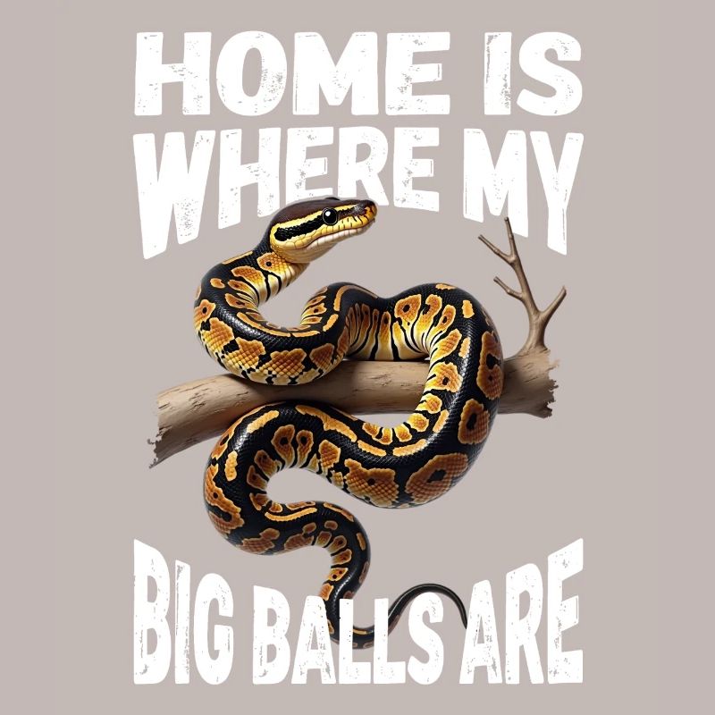 Königspython Schlangen Liebhaber Terrarium Python