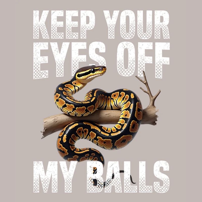 Python roi Serpents Amateurs de terrarium Python