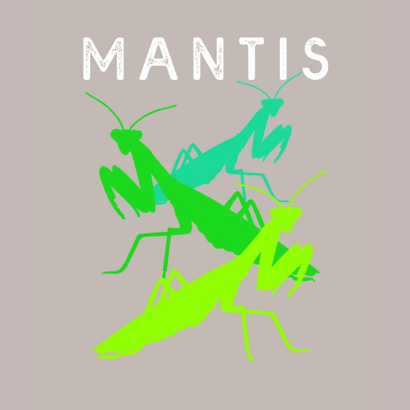 Gottesanbeter Gottesanbeterin Mantis