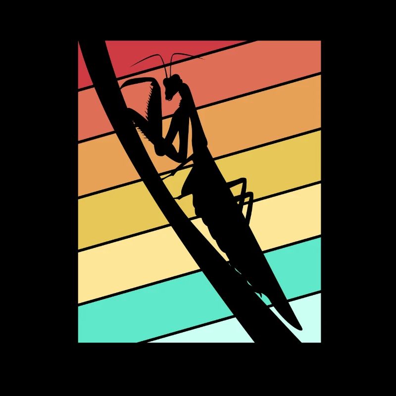 Mantis Gottesanbeter Gottesanbeterin