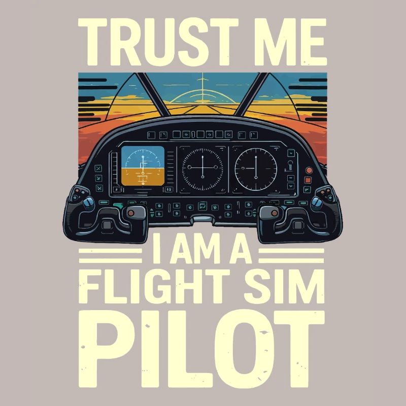 Vertrau mir ich bin ein Flugsimulatorpilot