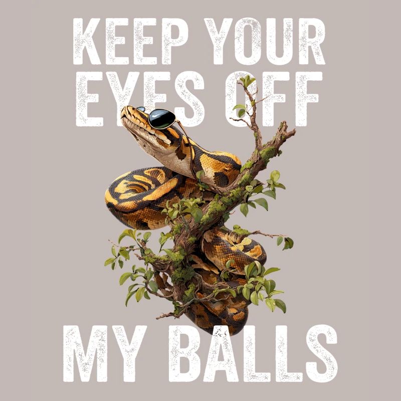 Königspython Schlangen Liebhaber Terrarium Python