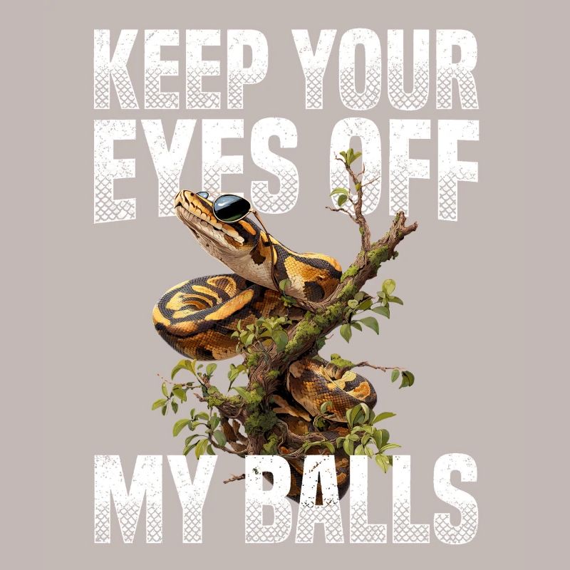 Königspython Schlangen Liebhaber Terrarium Python