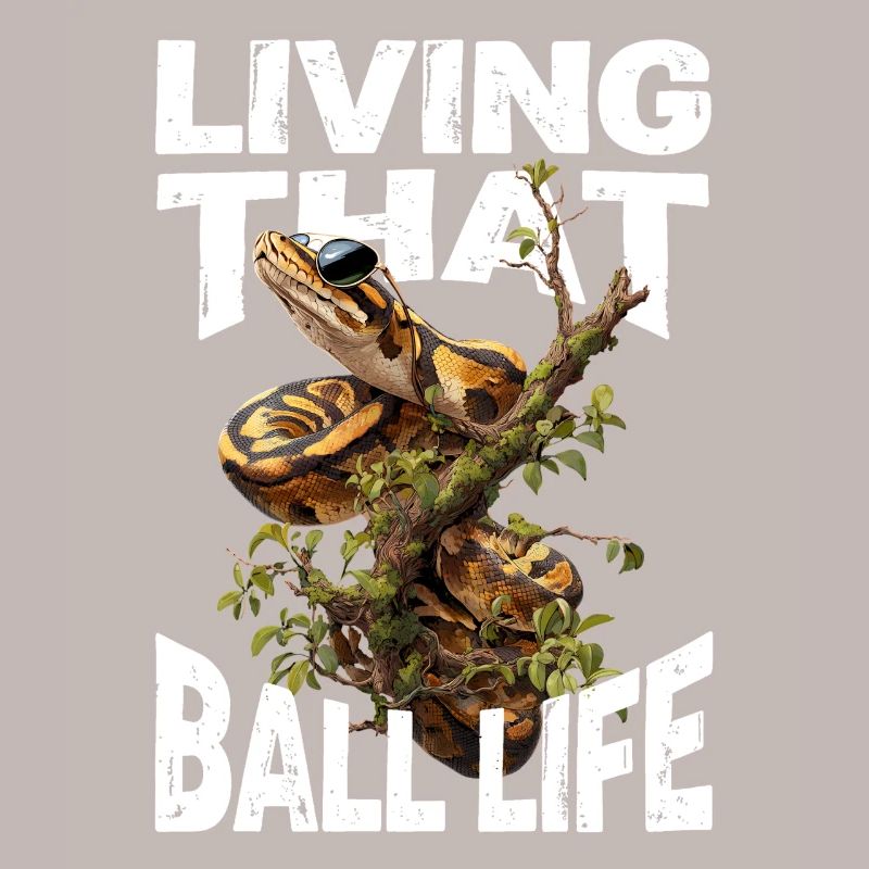 Königspython Schlangen Liebhaber Terrarium Python