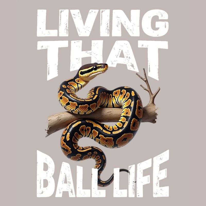 Königspython Schlangen Liebhaber Terrarium Python