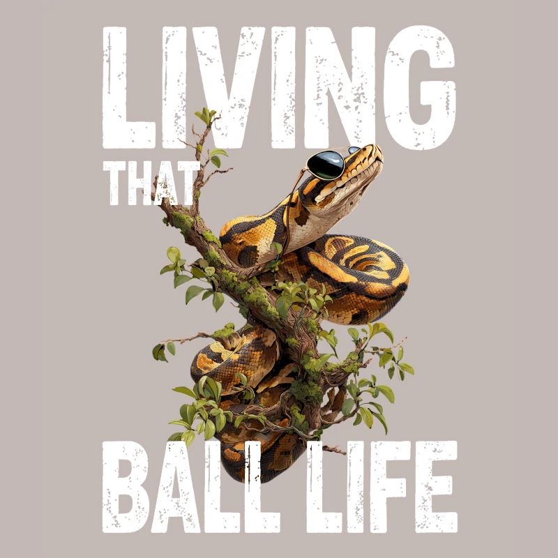 Königspython Schlangen Liebhaber Terrarium Python