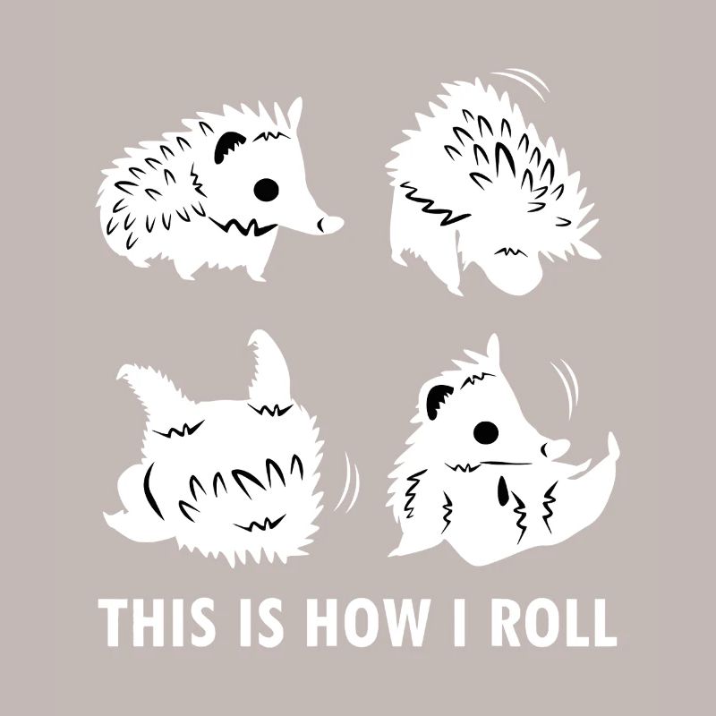 Hedgehogs Roll: Cute Quirk