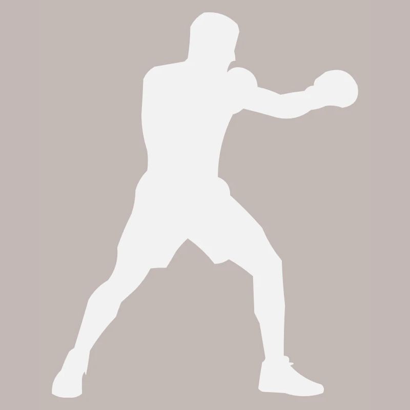 Boost de puissance de la Boxsilhouette