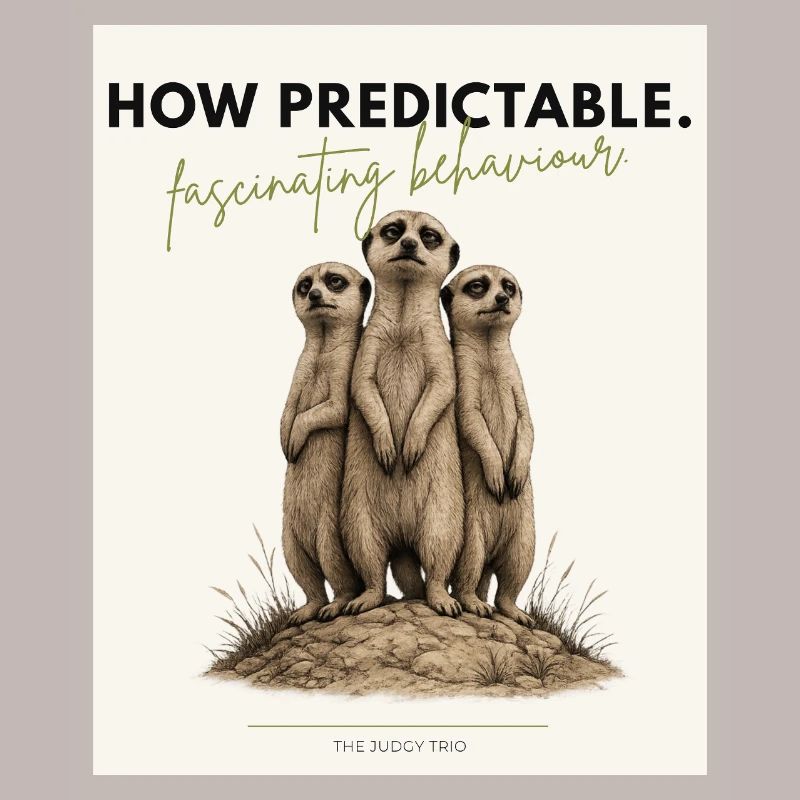 How Predictable Meerkat Trio