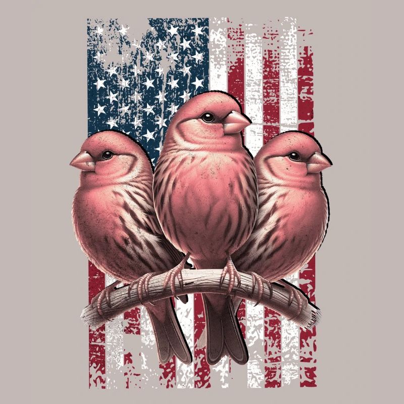 Red Factor Canary US Roter Kanarienvogel