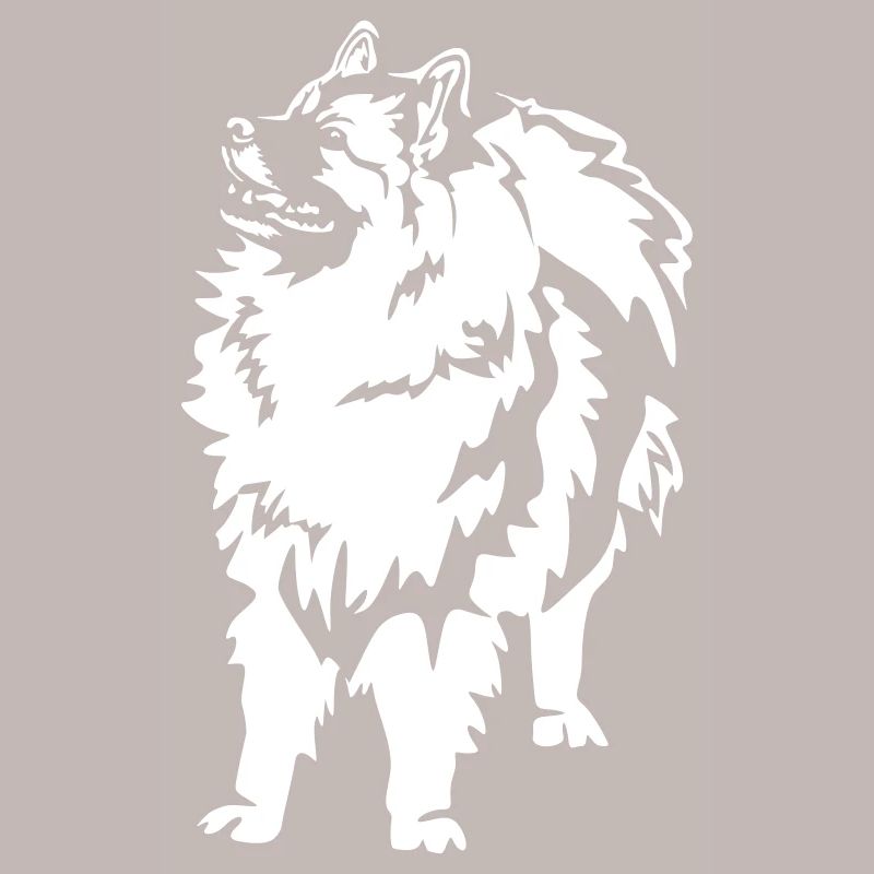 Wolfsspitz « Édition Noire »