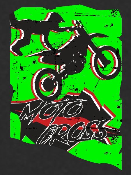 Motocross Stunt