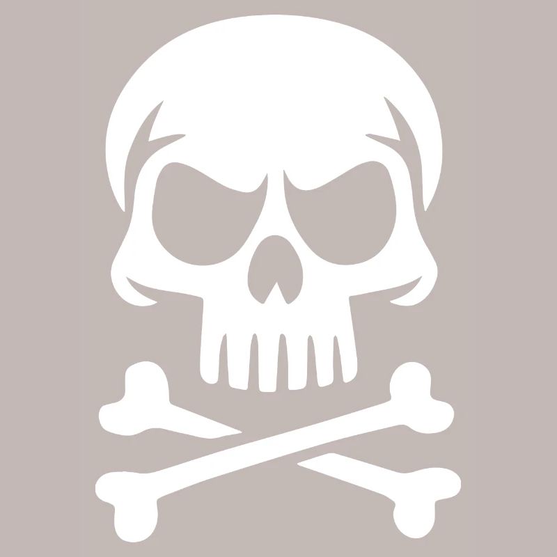 Sapiens Skull
